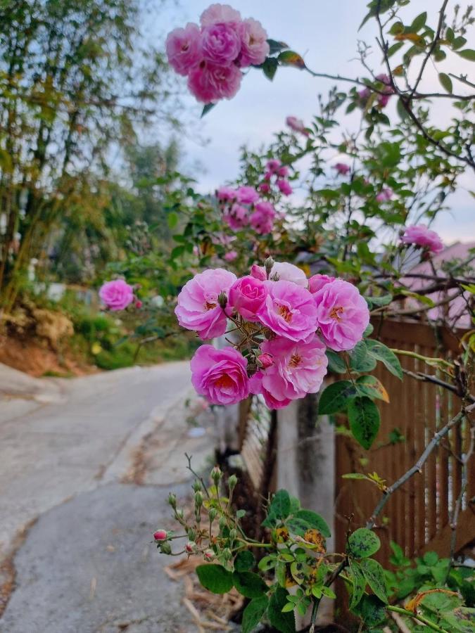 Bong Sen Hotel Da Lat Buitenkant foto